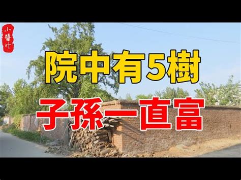 庭院風水樹|庭院栽種的風水：植樹數量、栽種方位、樹木大小和種。